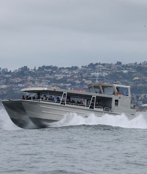 The Gone Whale Watching tour vessel underway, full of passengers, throwing a bow wake